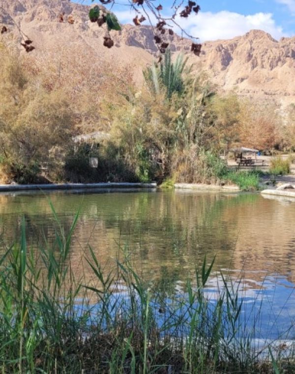 תמונה של עינות צוקים: טיול בנווה מדבר - למטייל בישראל (טיולי)